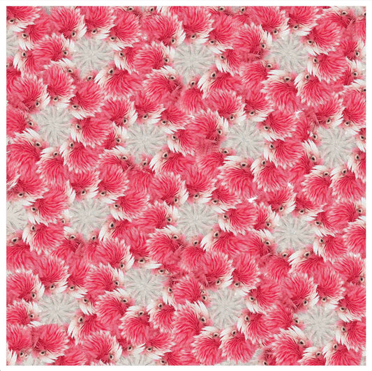 Parrots Wall Art Print