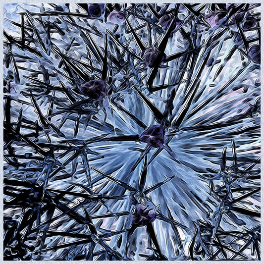 Pollination Wall Art Print