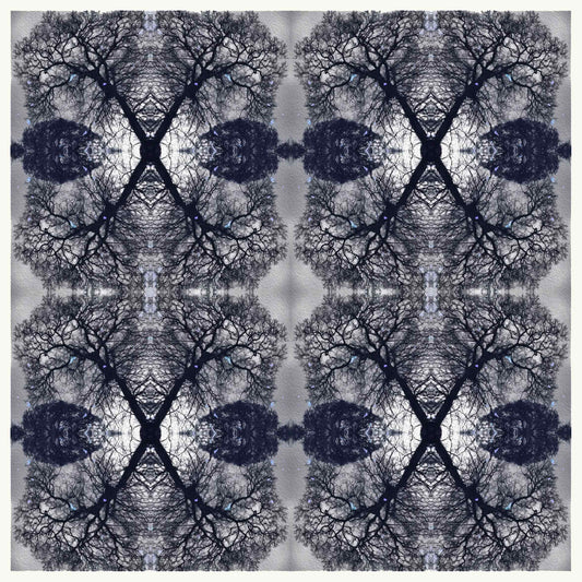 Shadows Wall Art Print